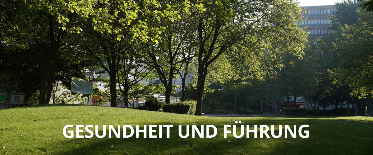 „Gesundheit und Führung“ (FührungAKTIV)