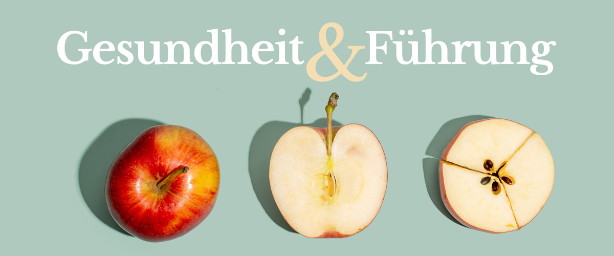 „Gesundheit und Führung“ (FührungAKTIV)